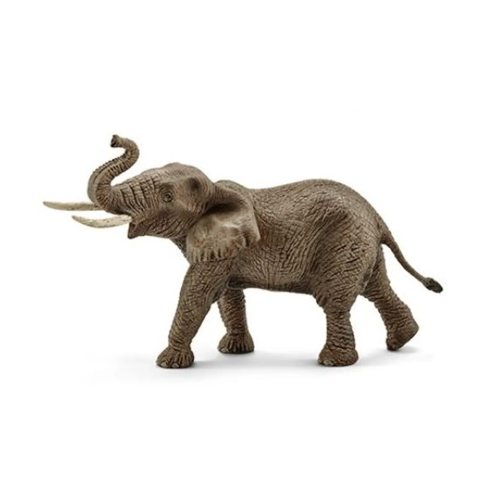 Schleich Elefante Africano Macho