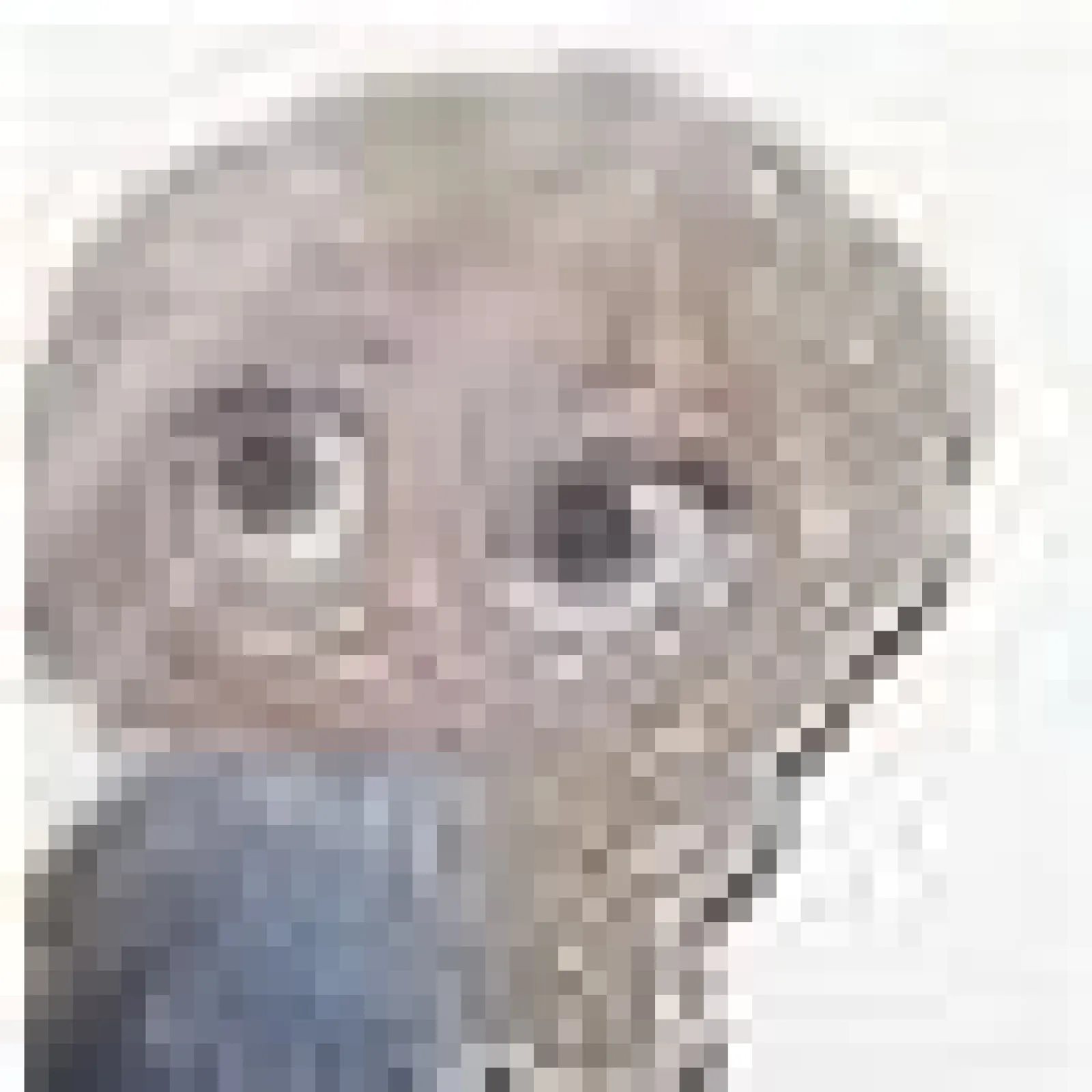 Online Crystal Art Elsa, Buddy