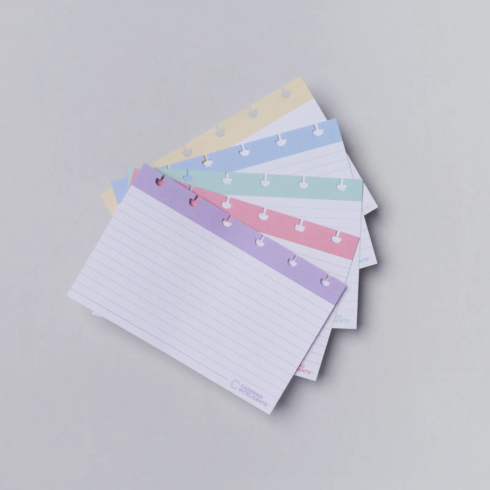 Discount Caderno Inteligente Folhas Pautadas Inteligentes 4X6 50 Folhas