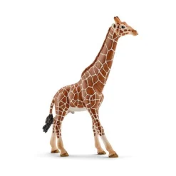 Schleich Girafa Macho