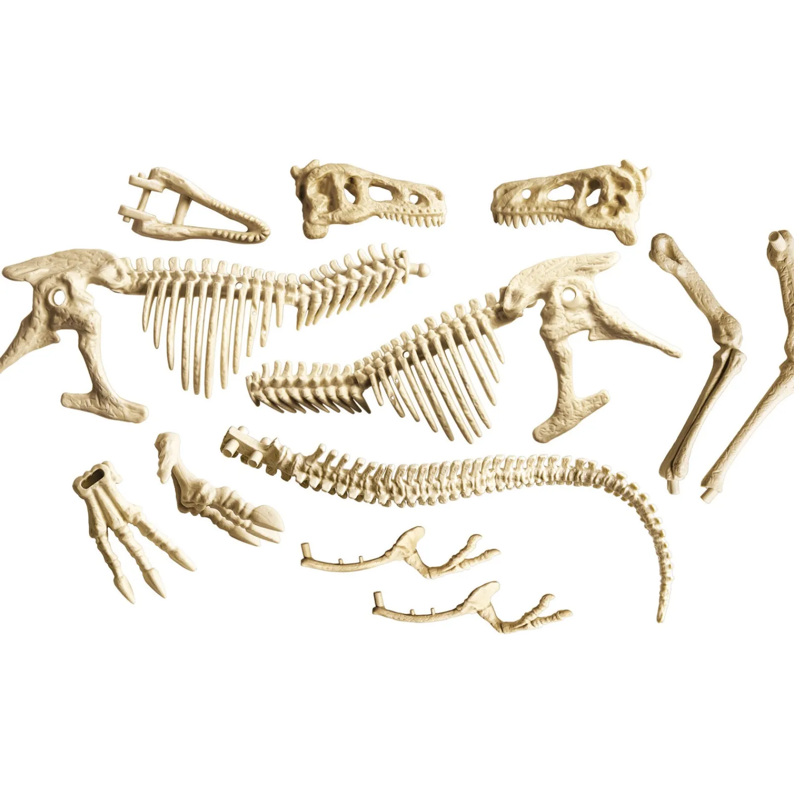 Ciência & Jogo Kit Arqueologia - T-Rex Gigante