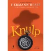 Dom Quixote Knulp de Hermann Hesse