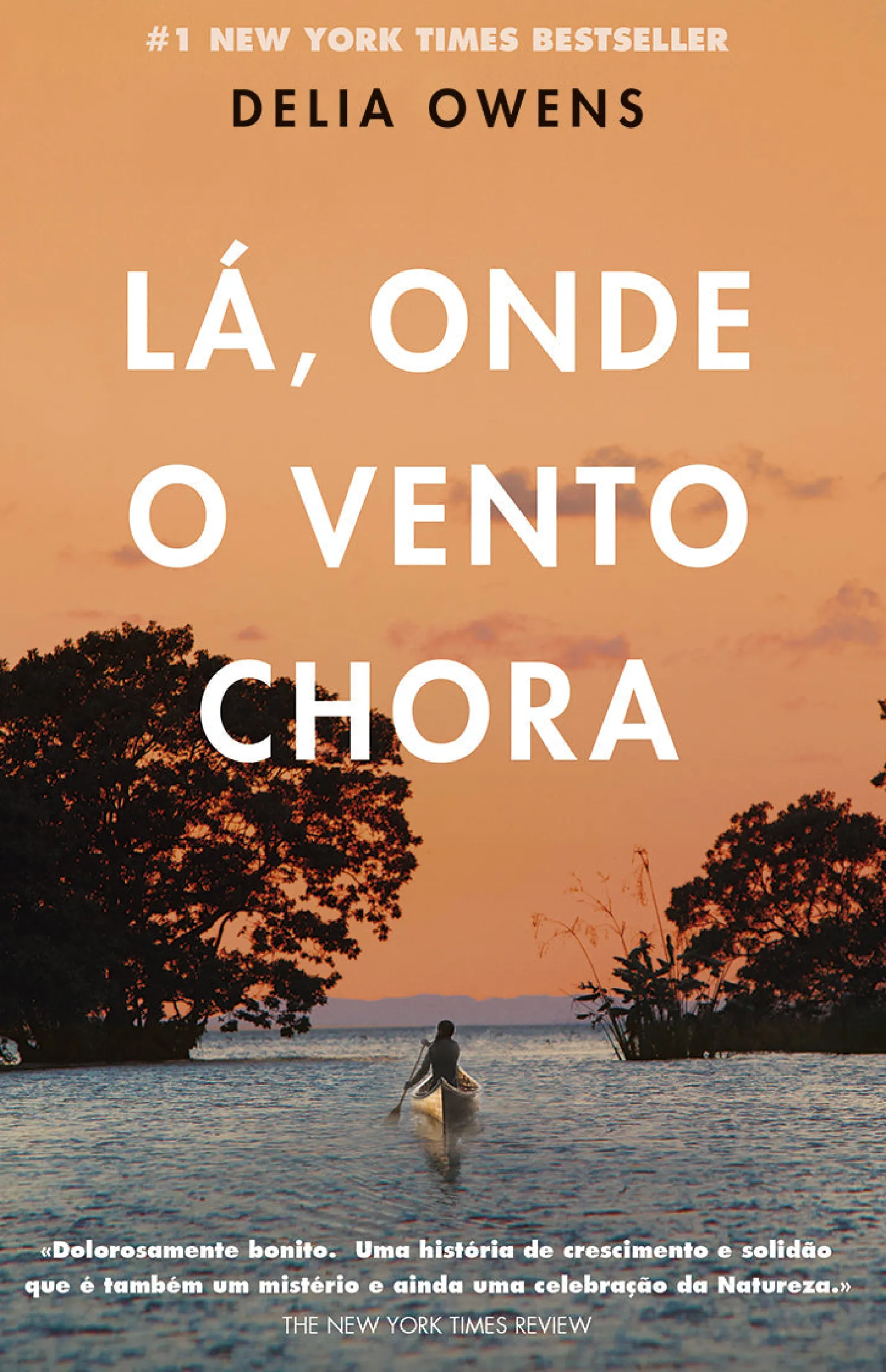 Sale Porto Editora Lá, Onde o Vento Chora de Delia Owens