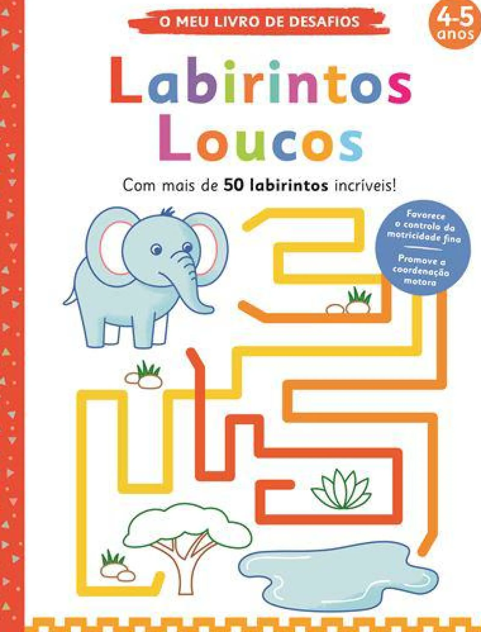 Joybooks Labirintos Loucos de Elizabeth Golding - O Meu Livro de Desafios: