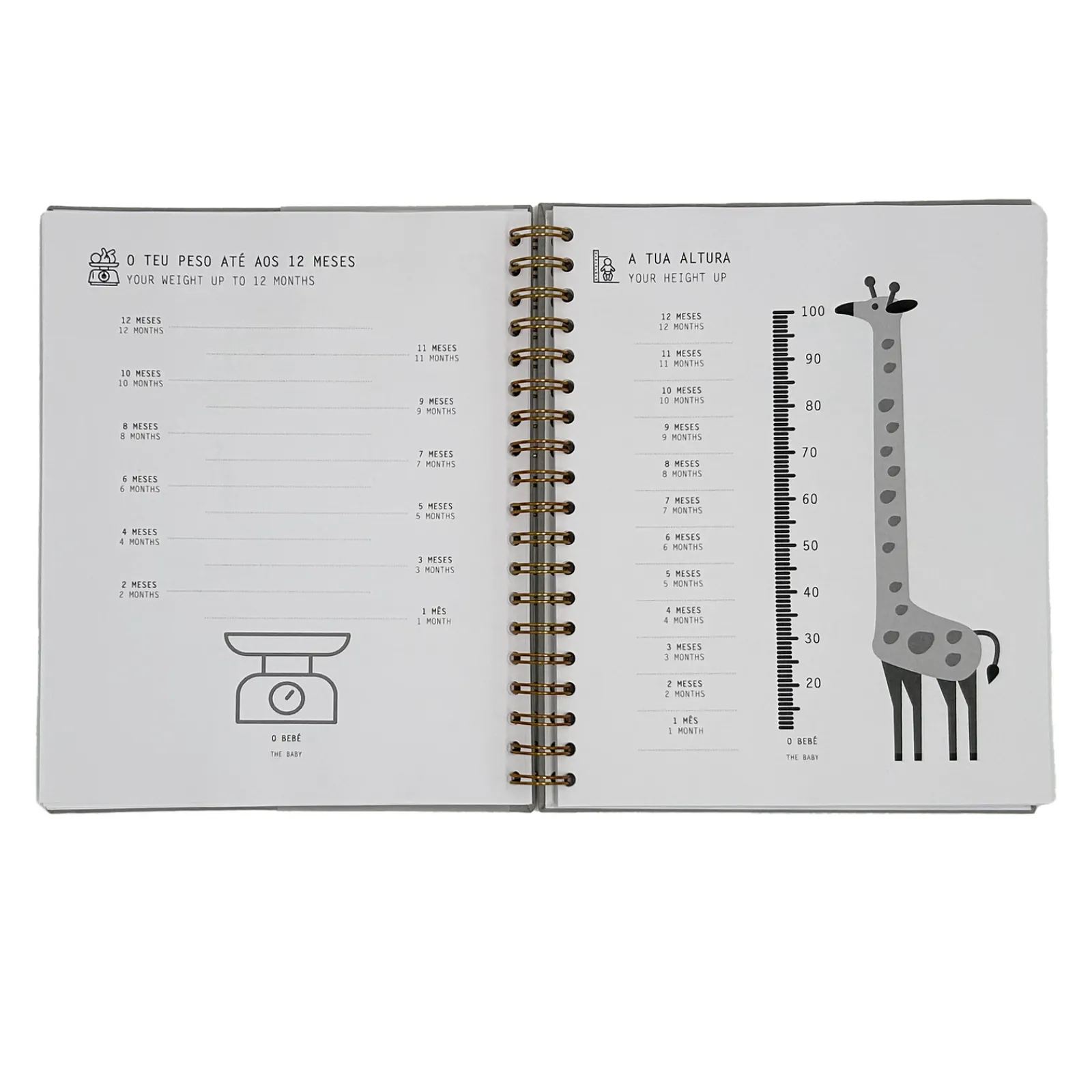 Paperpoint Álbum - Histórias Bebé