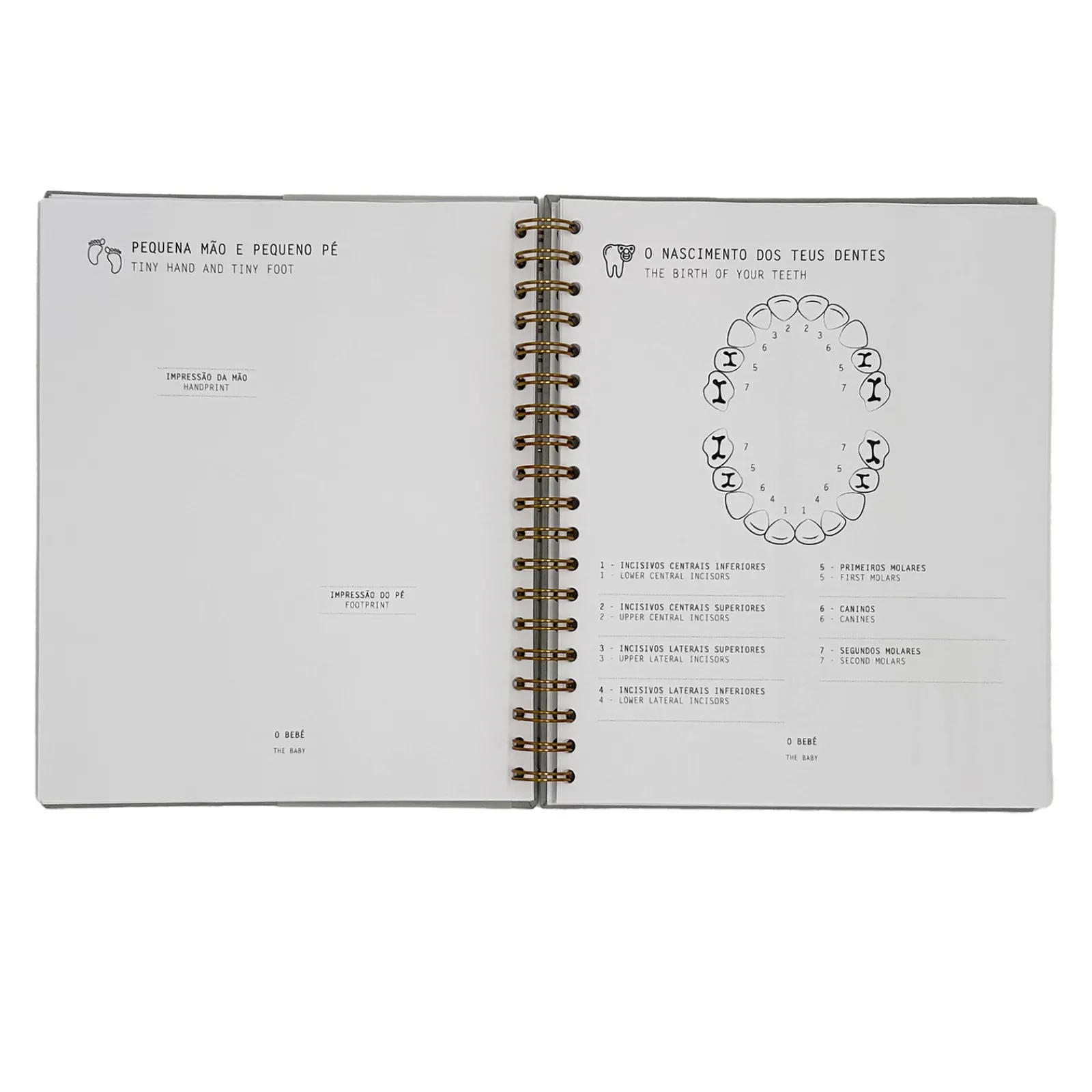 Paperpoint Álbum - Histórias Bebé