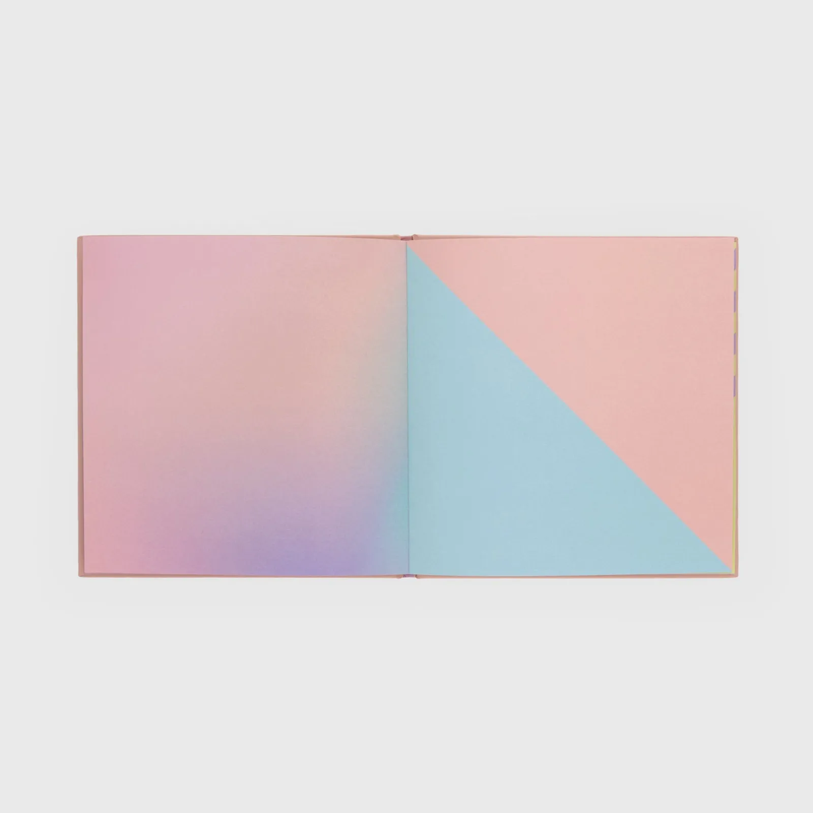 Mr. Wonderful Álbum De Fotos - Flashbacks Momentos