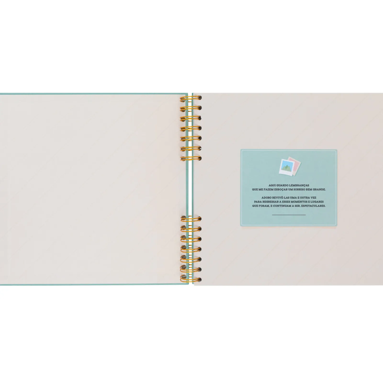 Hot Mr. Wonderful Álbum Fotos - Milhares De Fotos