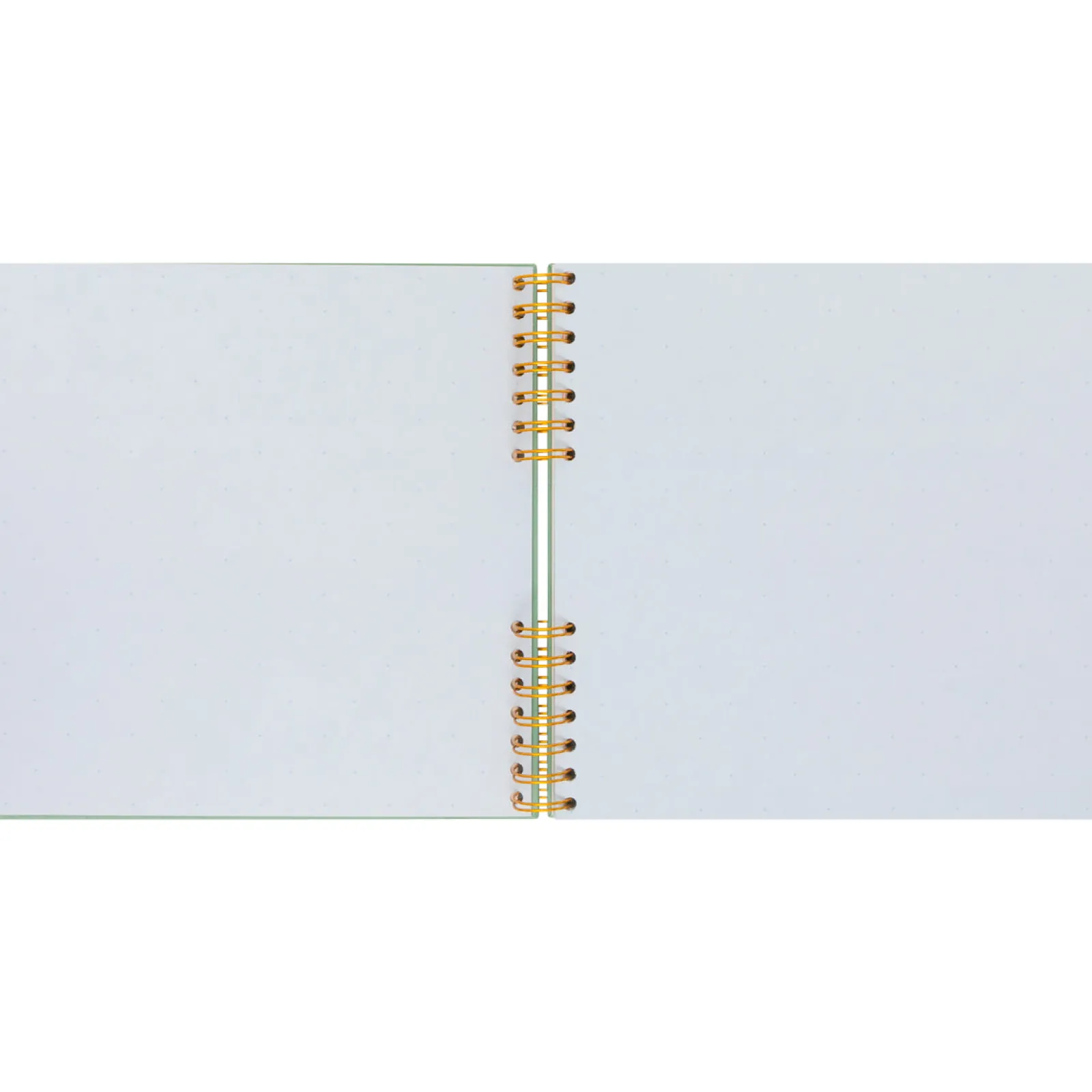 Hot Mr. Wonderful Álbum Fotos - Milhares De Fotos