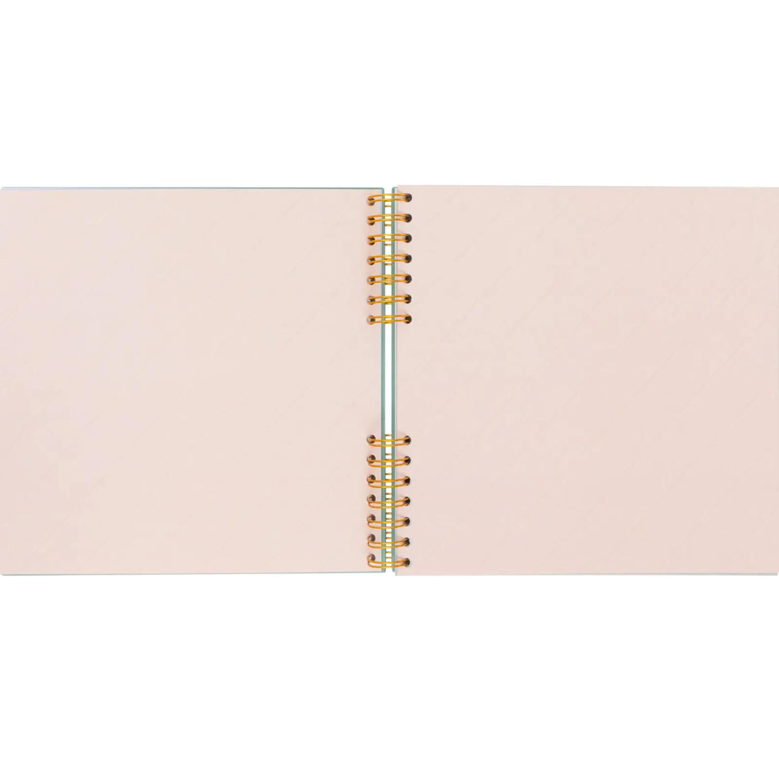 Hot Mr. Wonderful Álbum Fotos - Milhares De Fotos