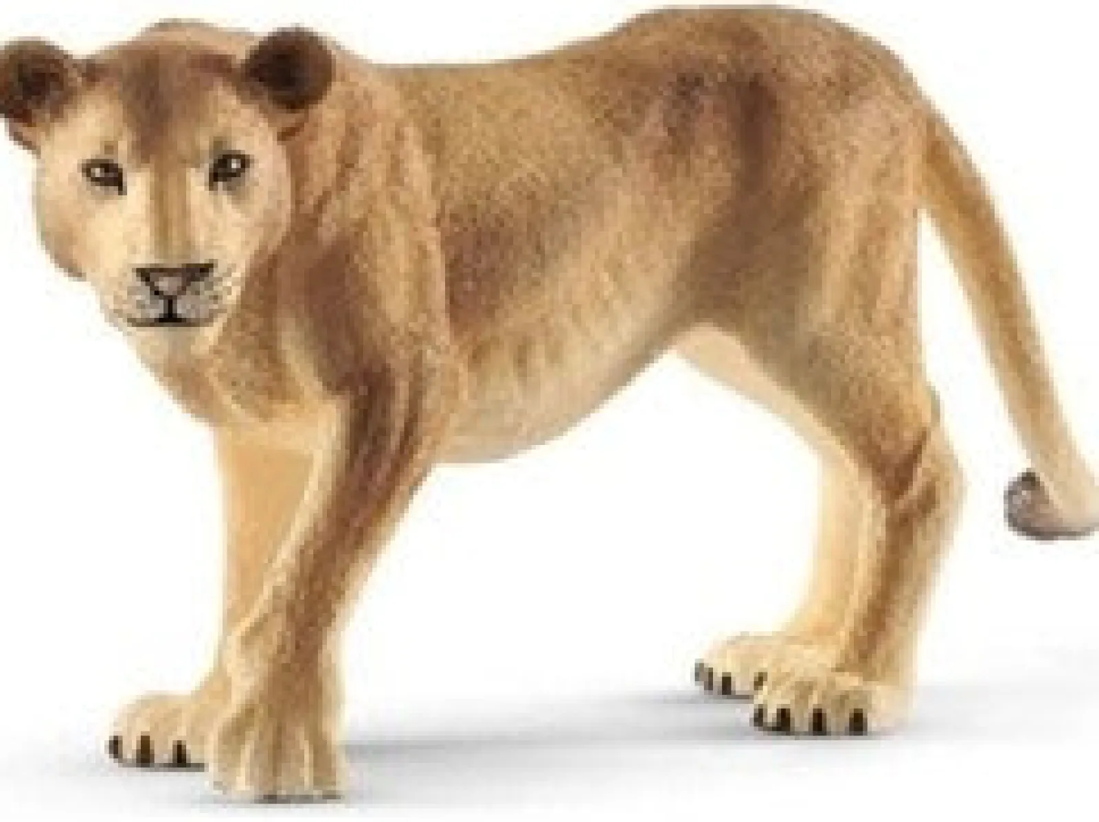Clearance Schleich Leoa
