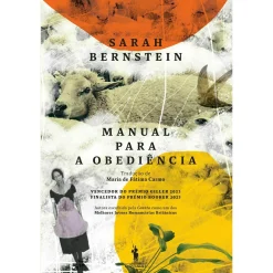 Dom Quixote Manual para a Obediência de Sarah Bernstein