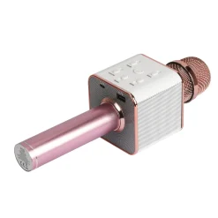 Wesdar Microfone Com Coluna Sem Fios