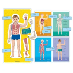 Education Montessori - Corpo Humano Clementoni