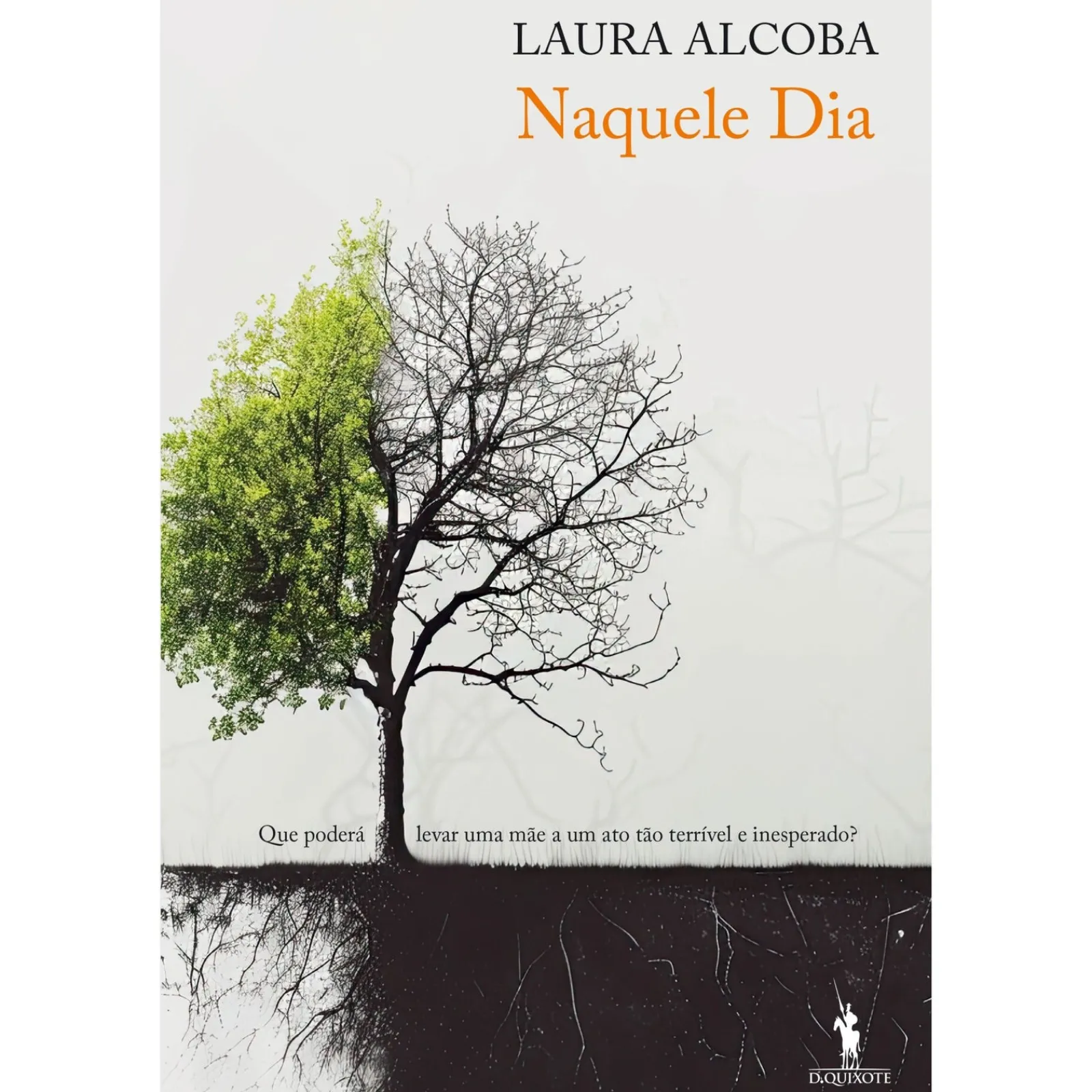 Dom Quixote Naquele Dia de Laura Alcoba