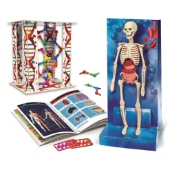 Clearance Ciência & Jogo O Corpo Humano Clementoni