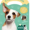 Best Livros Mch O Mundo dos Cães - Minha Malinha