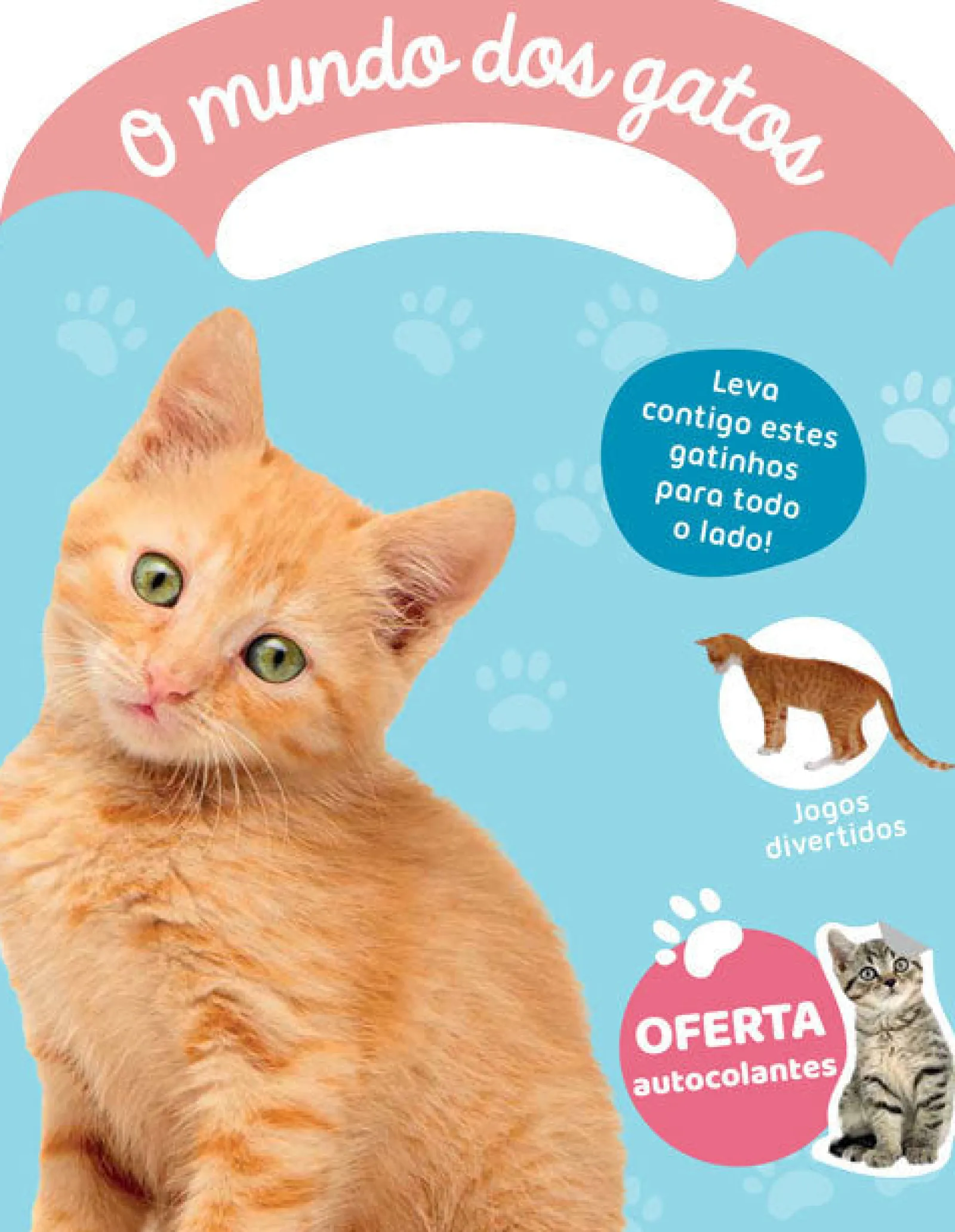 Livros Mch O Mundo dos Gatos - Minha Malinha