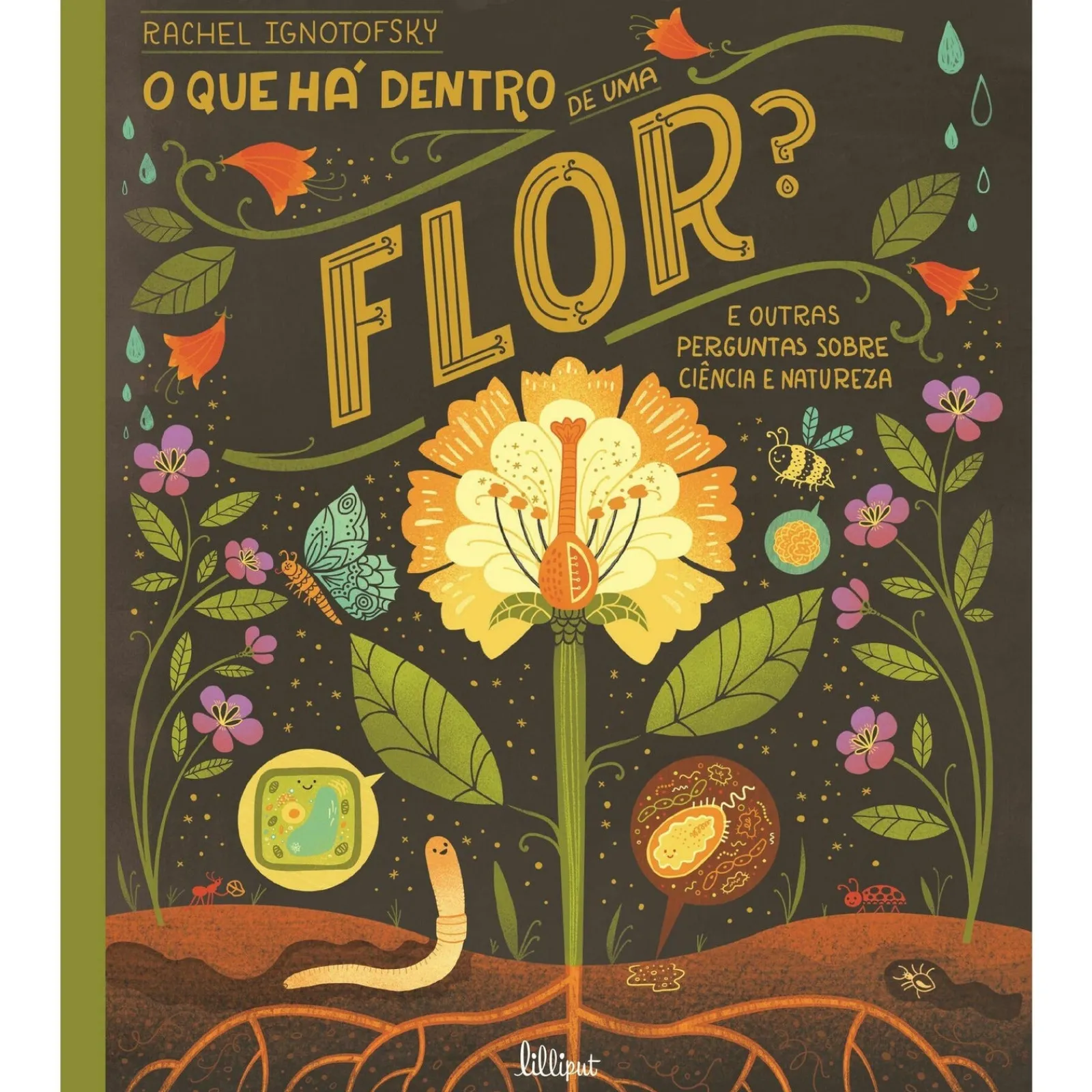 Nuvem De Letras O que Há Dentro de uma Flor? de Rachel Ignotofsky