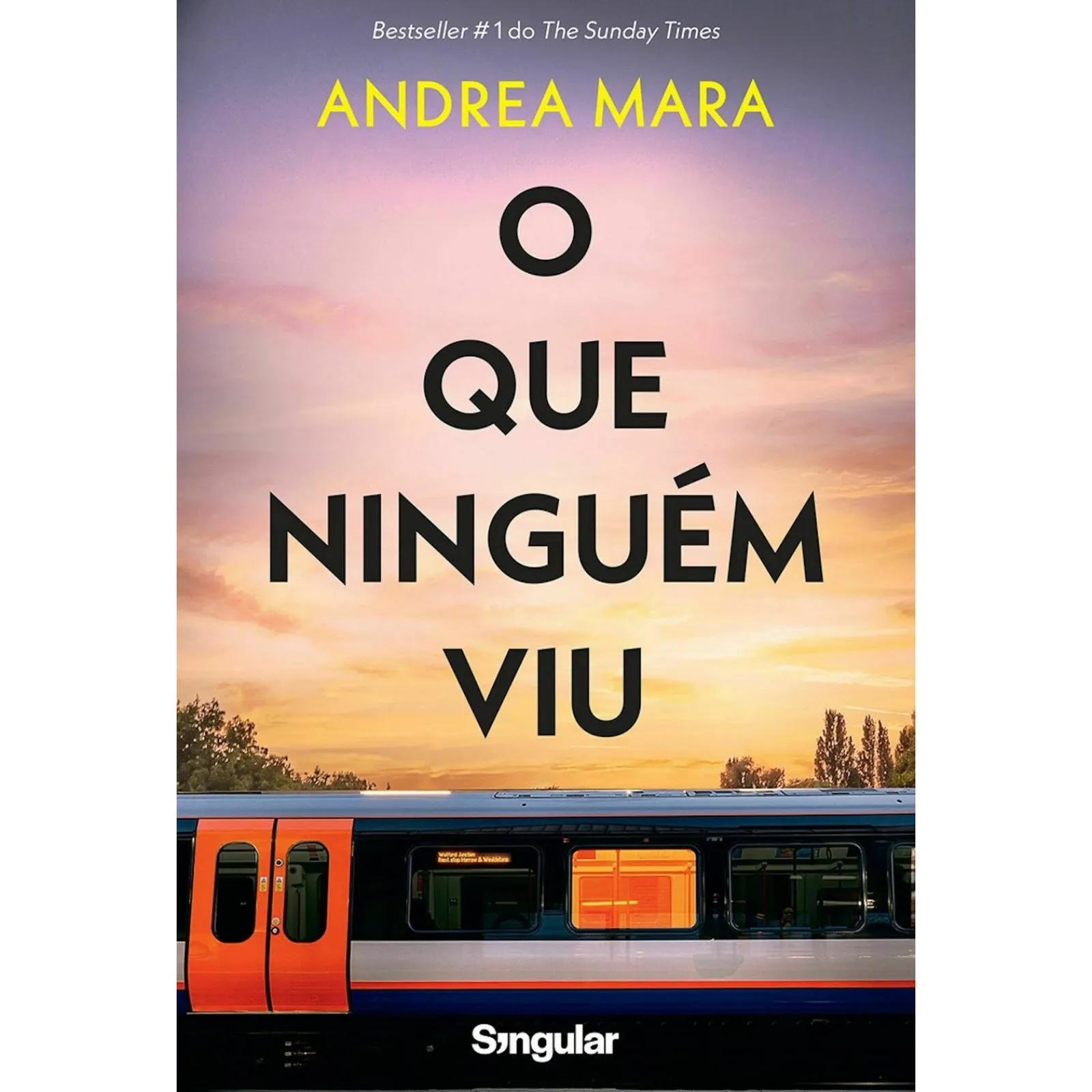 Sale Singular O que Ninguém Viu de Andrea Mara