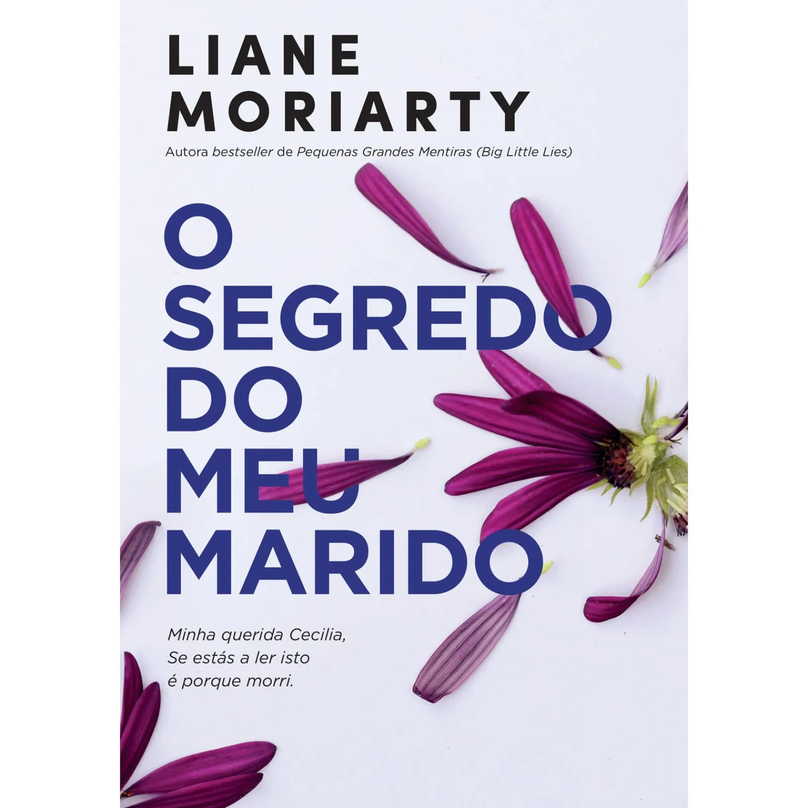 Asa O Segredo do Meu Marido de Liane Moriarty