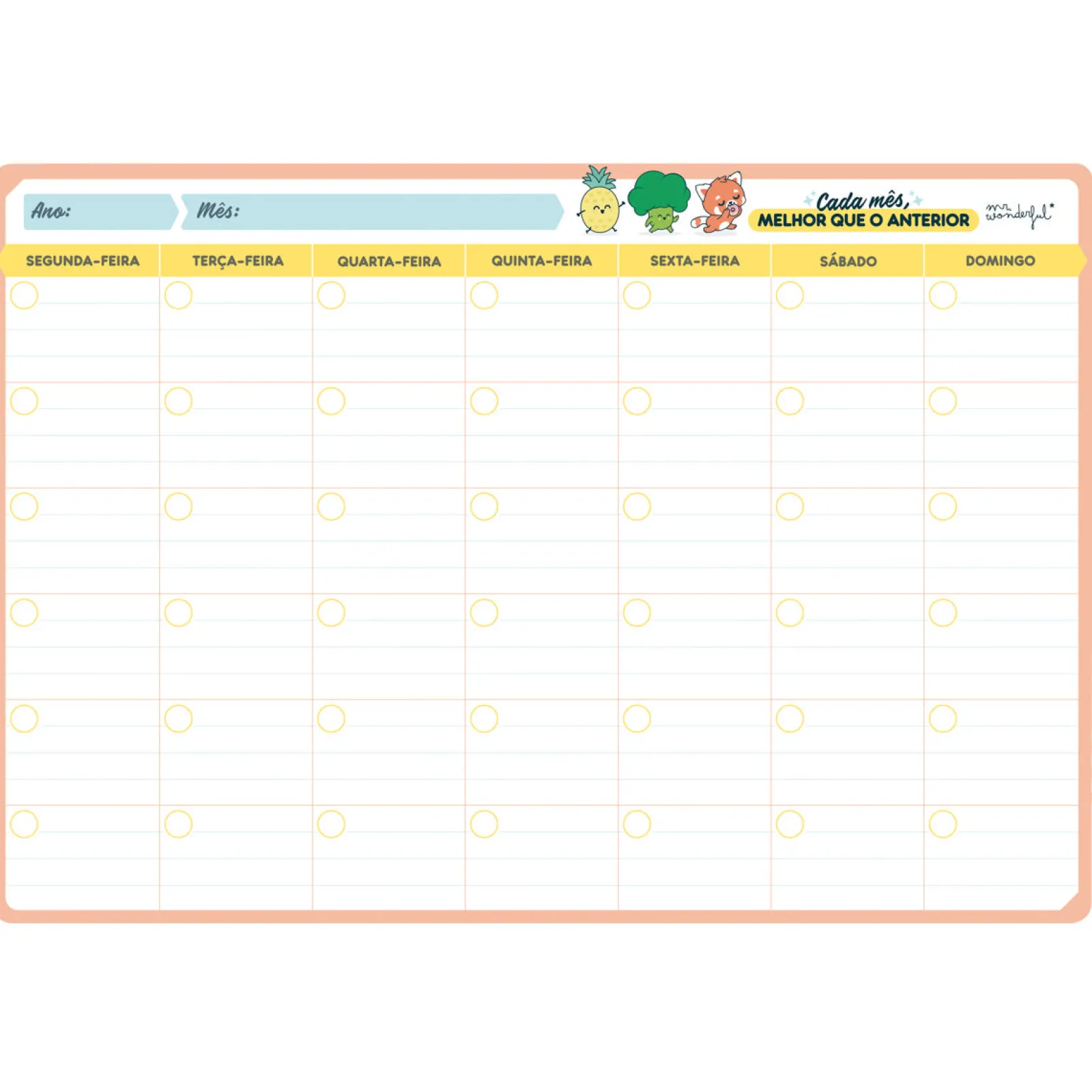 Mr. Wonderful Organizador Com Quadro Magnético