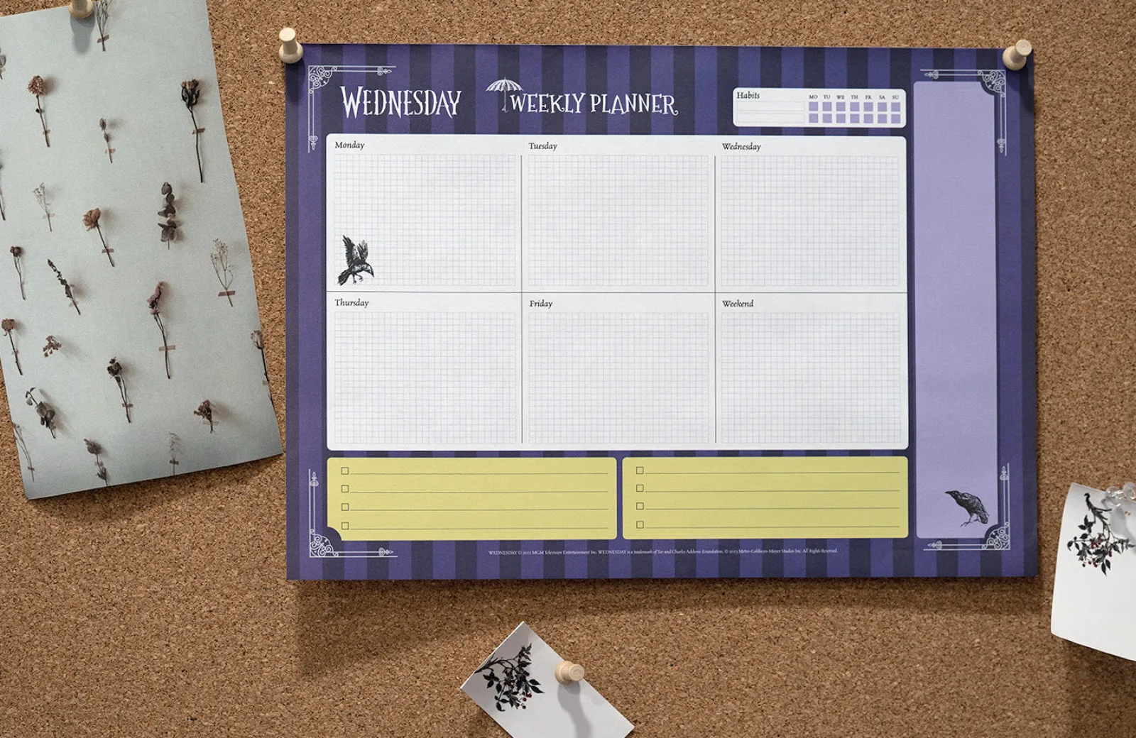 Outlet Wednesday Organizador Semanal A4 -