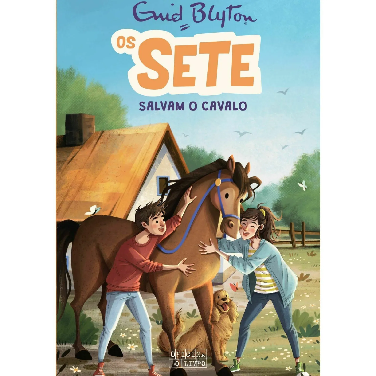 Oficina Do Livro Os Sete Salvam o Cavalo de Enid Blyton - Os Sete Volume 15