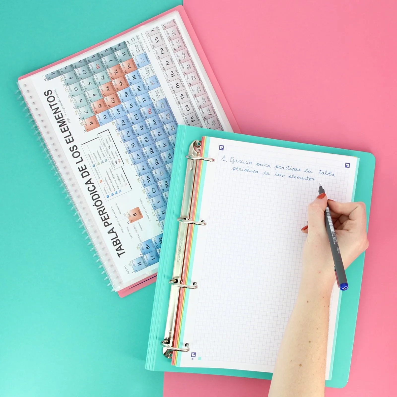 Oxford Pasta A4 Lombada Estreita com Elástico e Recarga Pastel (artigo sortido)