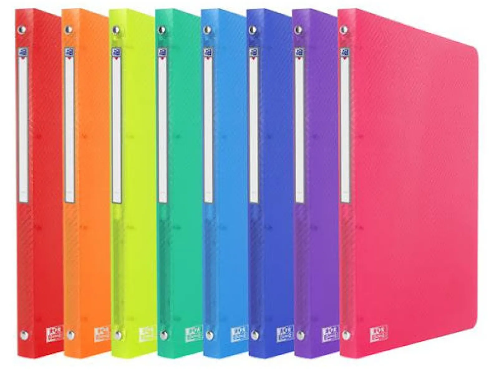 Oxford Pasta de Fole com 13 Divisórias A4 (várias cores)