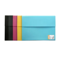 Note! Pasta Fole com 12 Divisórias (artigo sortido)