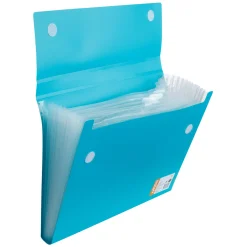 Note! Pasta Fole com 12 Divisórias (artigo sortido)