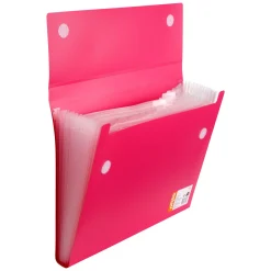 Note! Pasta Fole com 12 Divisórias (artigo sortido)