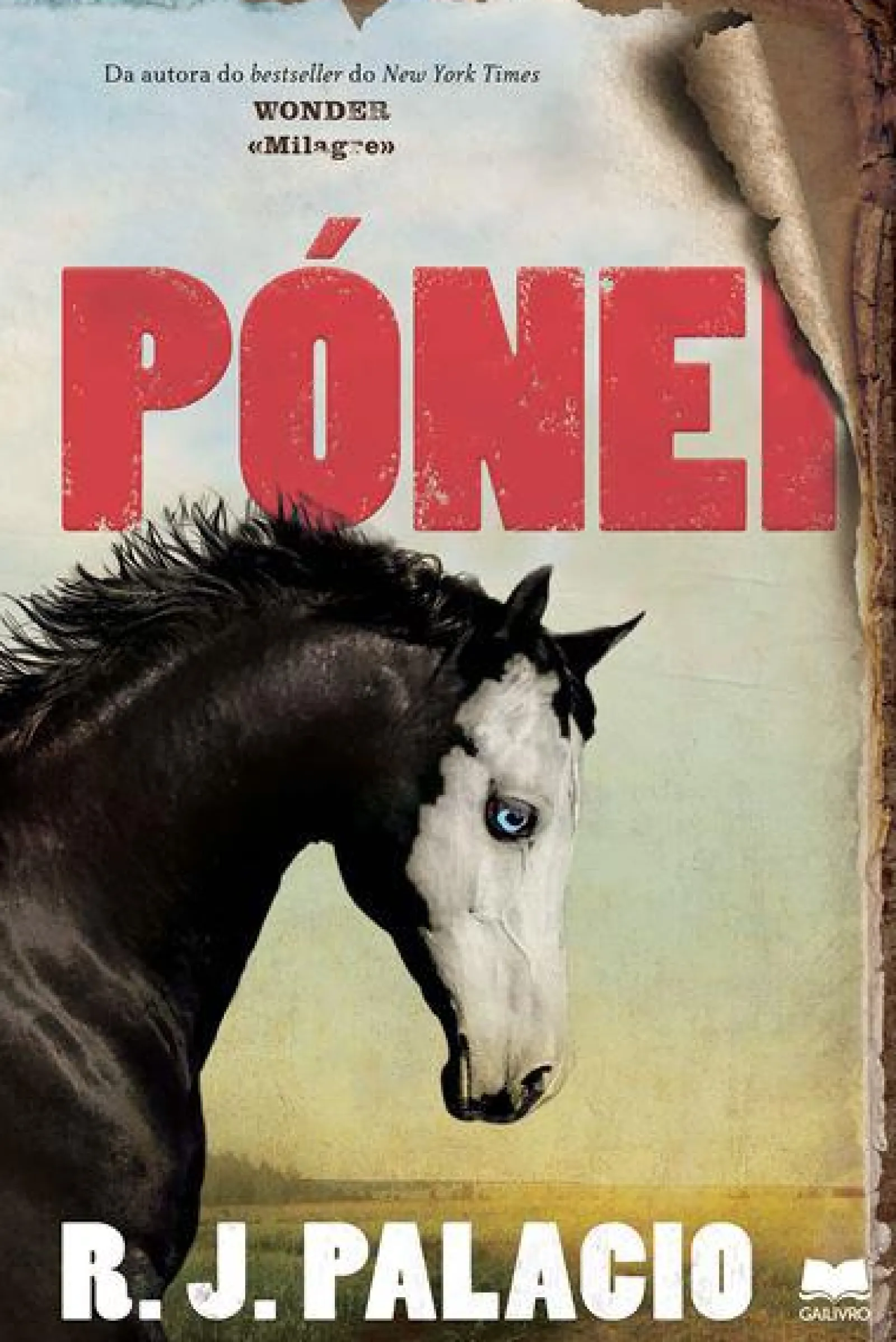 Sale Gailivro Pónei de R. J. Palacio