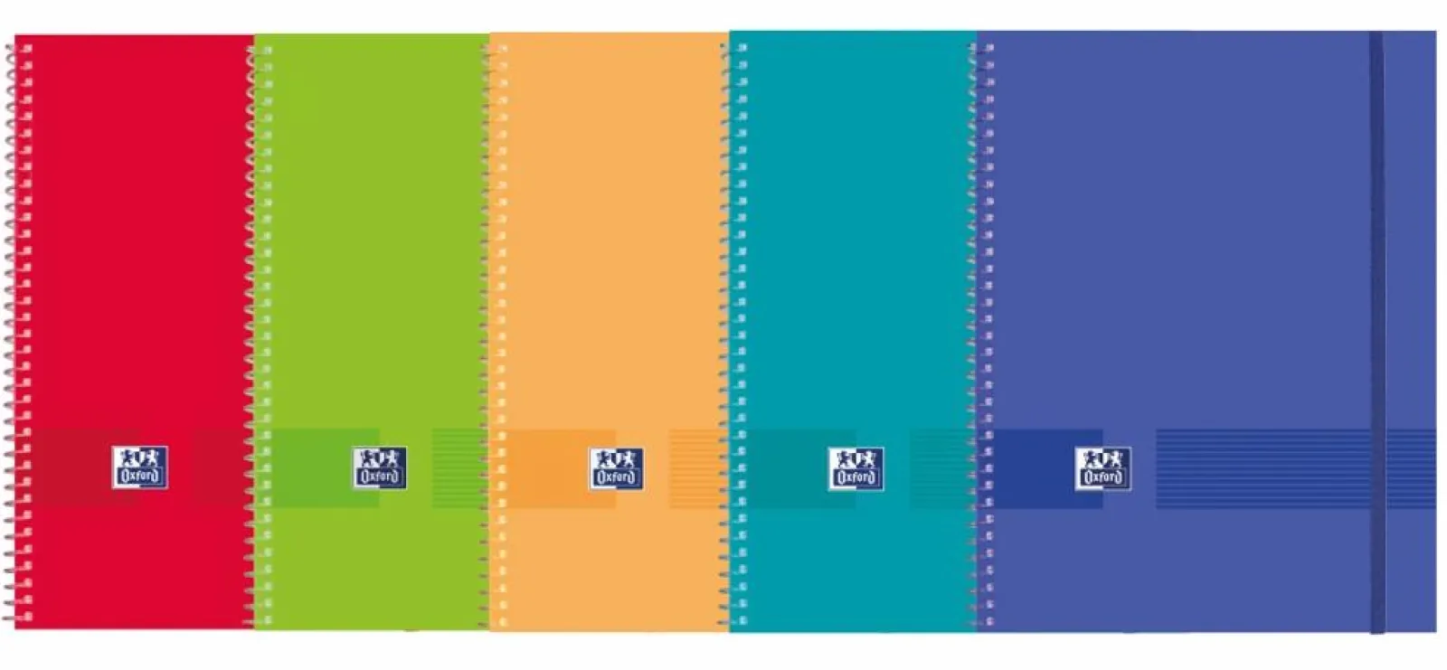 Oxford Portefólio com 20 Bolsas A4 (várias cores)