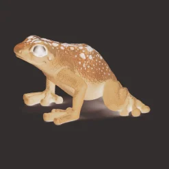 Discount Schleich Rã Flecha Azul