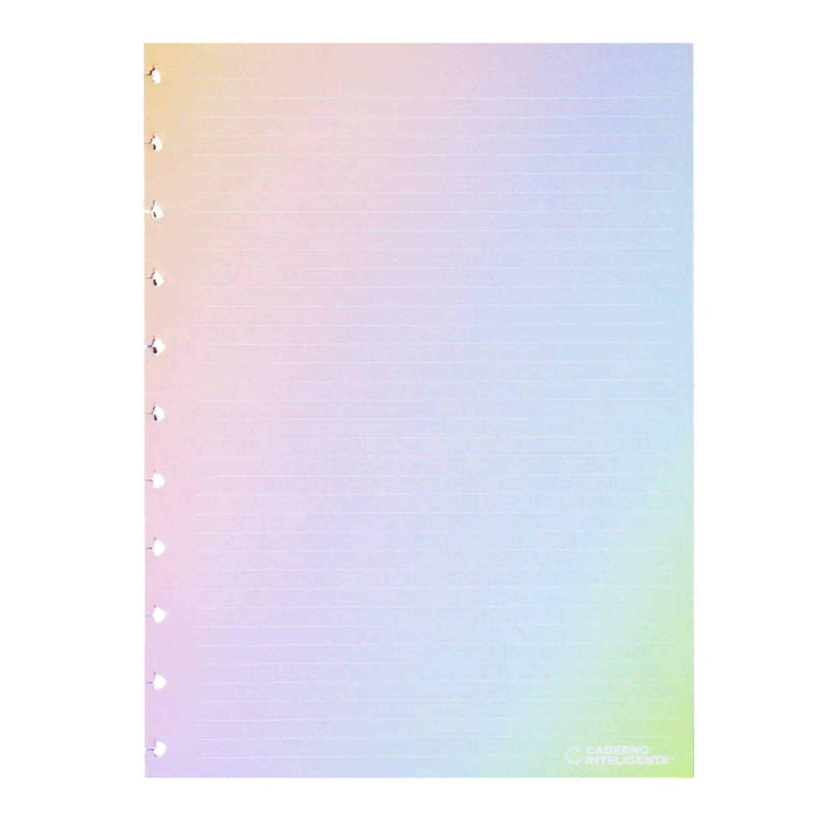 Caderno Inteligente Recarga Grande 30 Folhas 120gr Rainbow