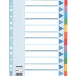 Esselte Separador A4 Cartão com 12 Divisórias