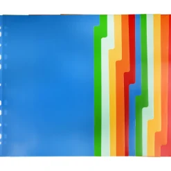 Clearance Note! Separador A4 Polipropileno com 12 Divisórias