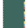 Note! Separador Cartão A4 Com 12 Divisórias