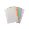 Discount Note! Separador com 6 Divisórias Pastel