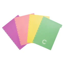 Caderno Inteligente Separadores A4 Pastel