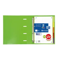 Oxford Separadores A4 Pastel