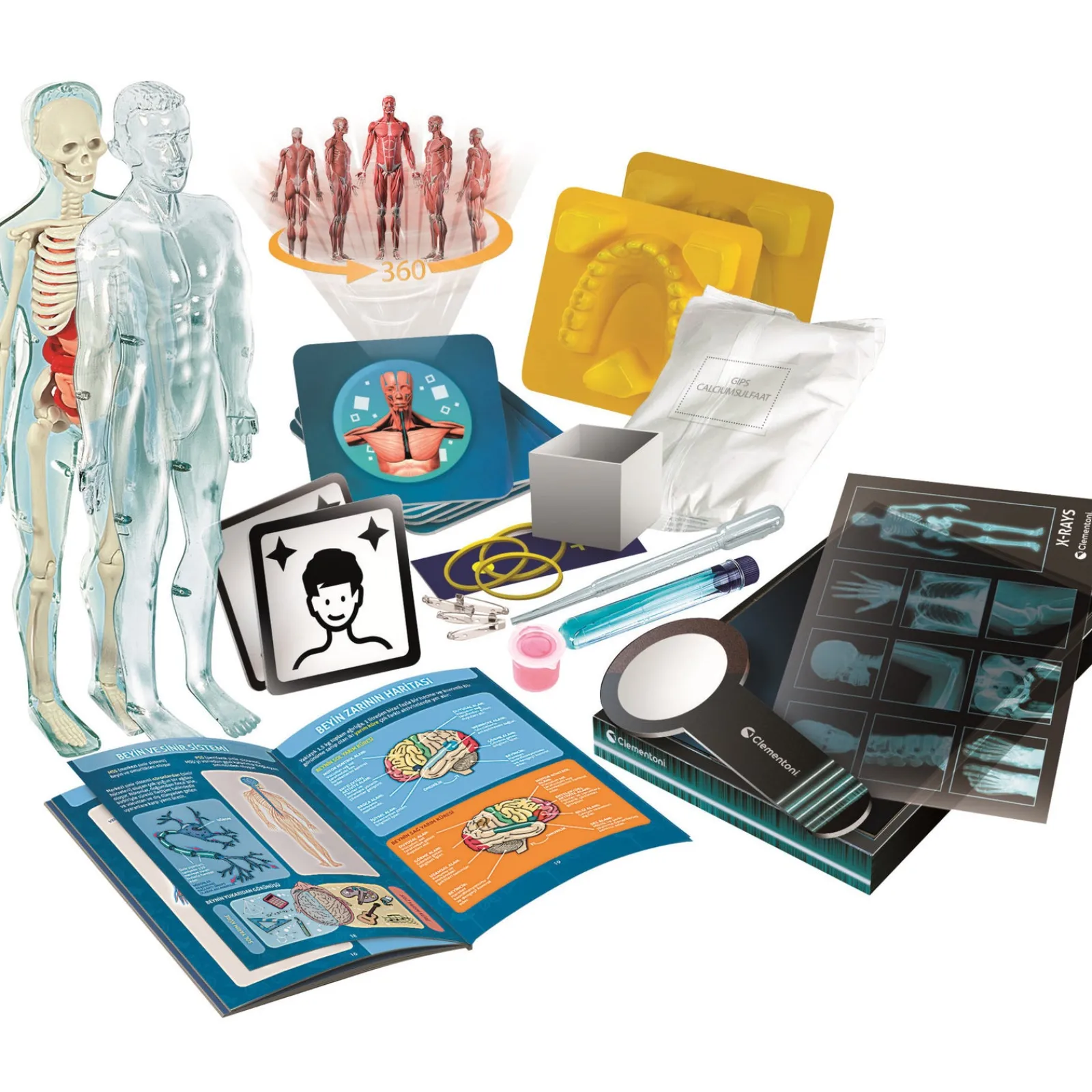 Ciência & Jogo Super Anatomia Clementoni