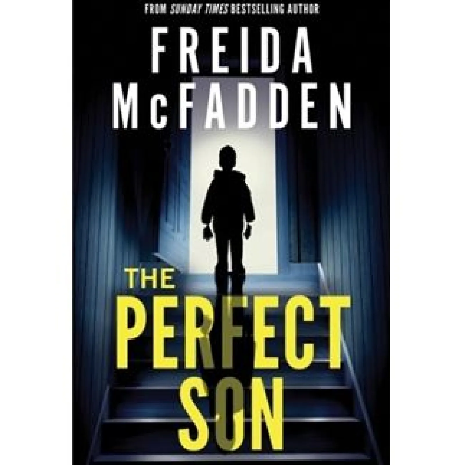 Sourcebooks The Perfect Son de Freida Mcfadden