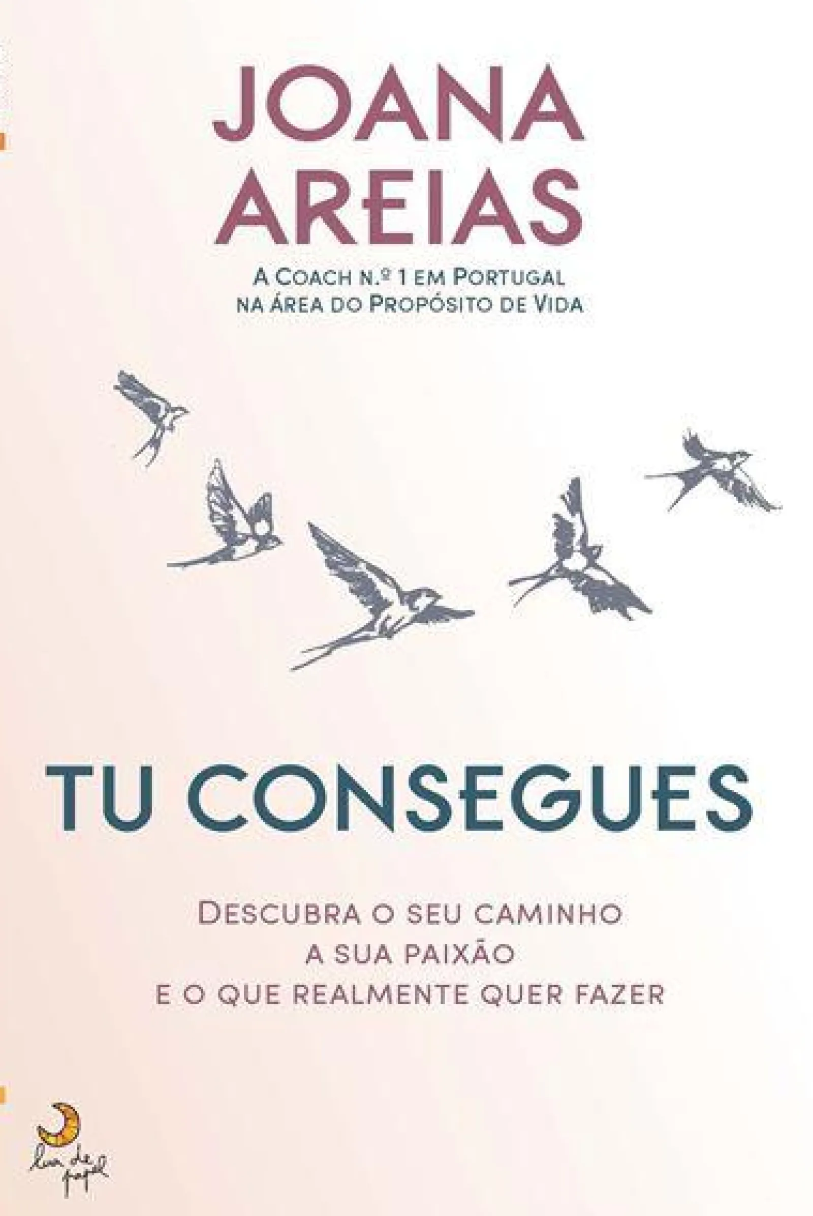 Lua De Papel Tu Consegues de Joana Areias