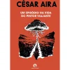 Cavalo De Ferro Um Episódio na Vida do Pintor Viajante de César Aira