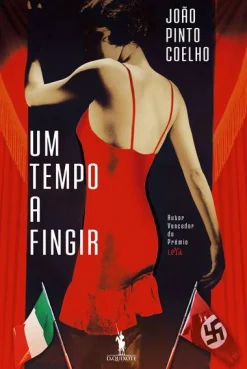 Dom Quixote Um Tempo a Fingir de João Pinto Coelho