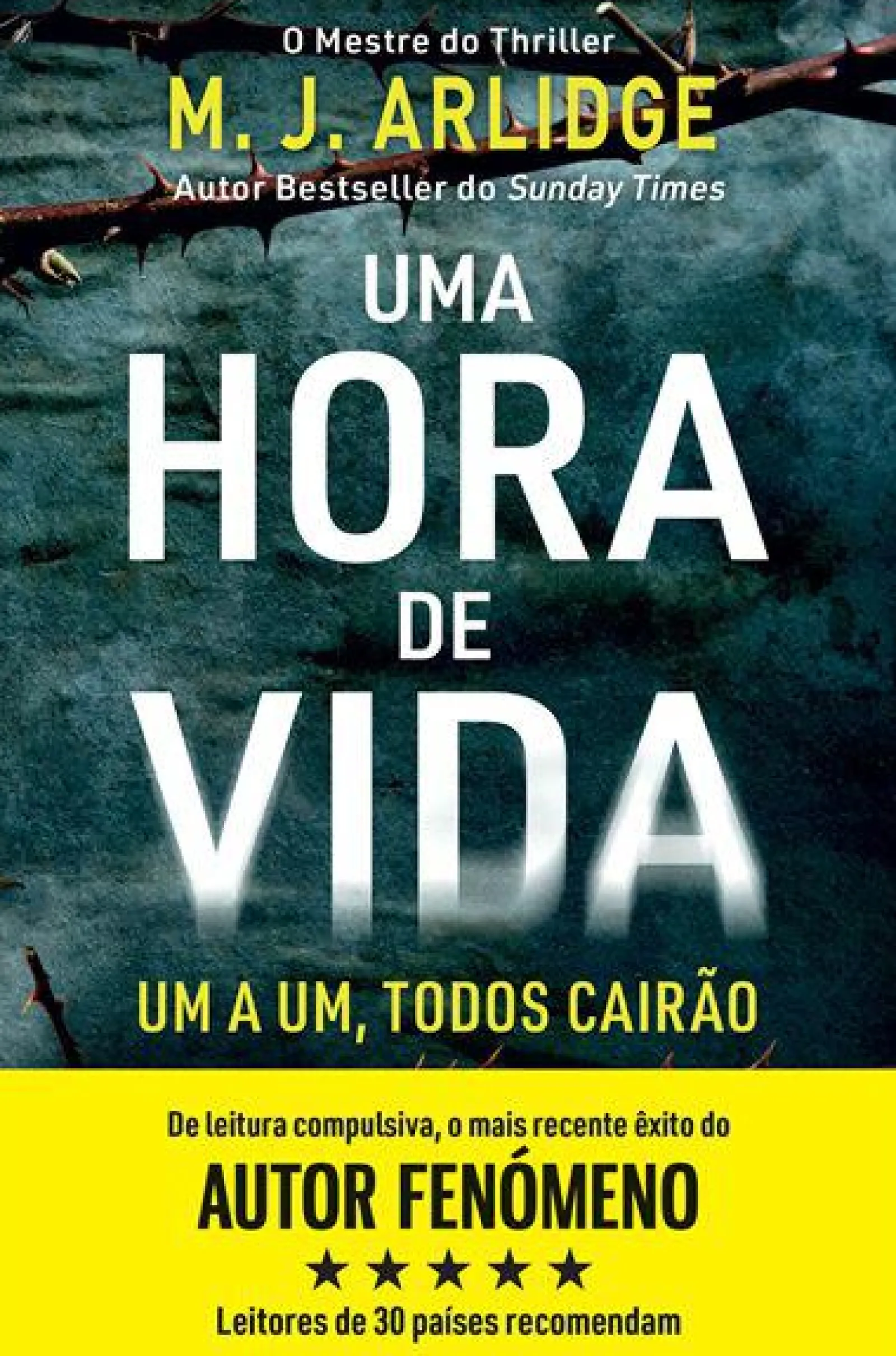Online Topseller Uma Hora de Vida de M. J. Arlidge - Helen Grace - Livro 9