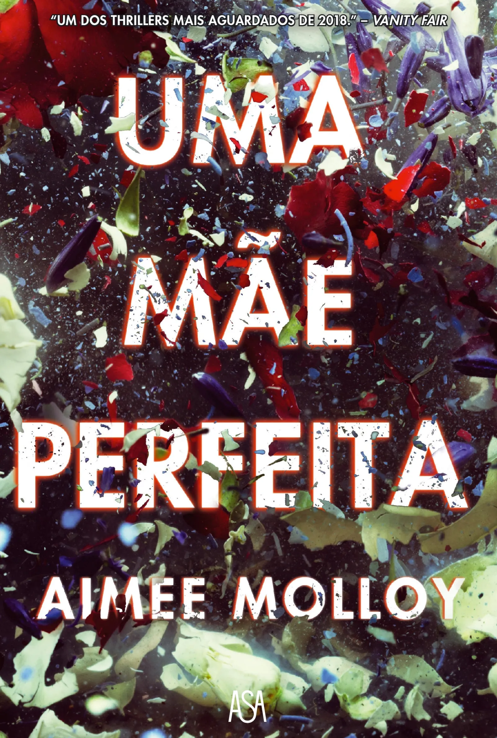 Edições Asa Uma Mãe Perfeita de Aimee Molloy